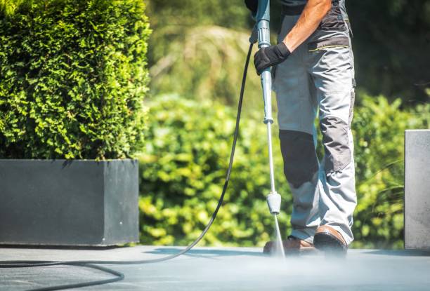 Best Boat and Dock Cleaning  in Parkersburg, WV