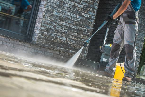 Animal Enclosure Cleaning in Parkersburg, WV