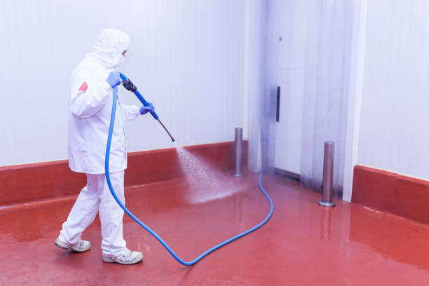 Best Building Exterior Washing  in Parkersburg, WV